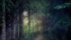 Advent 2023: Know Your Path by Steward Dee Elliot