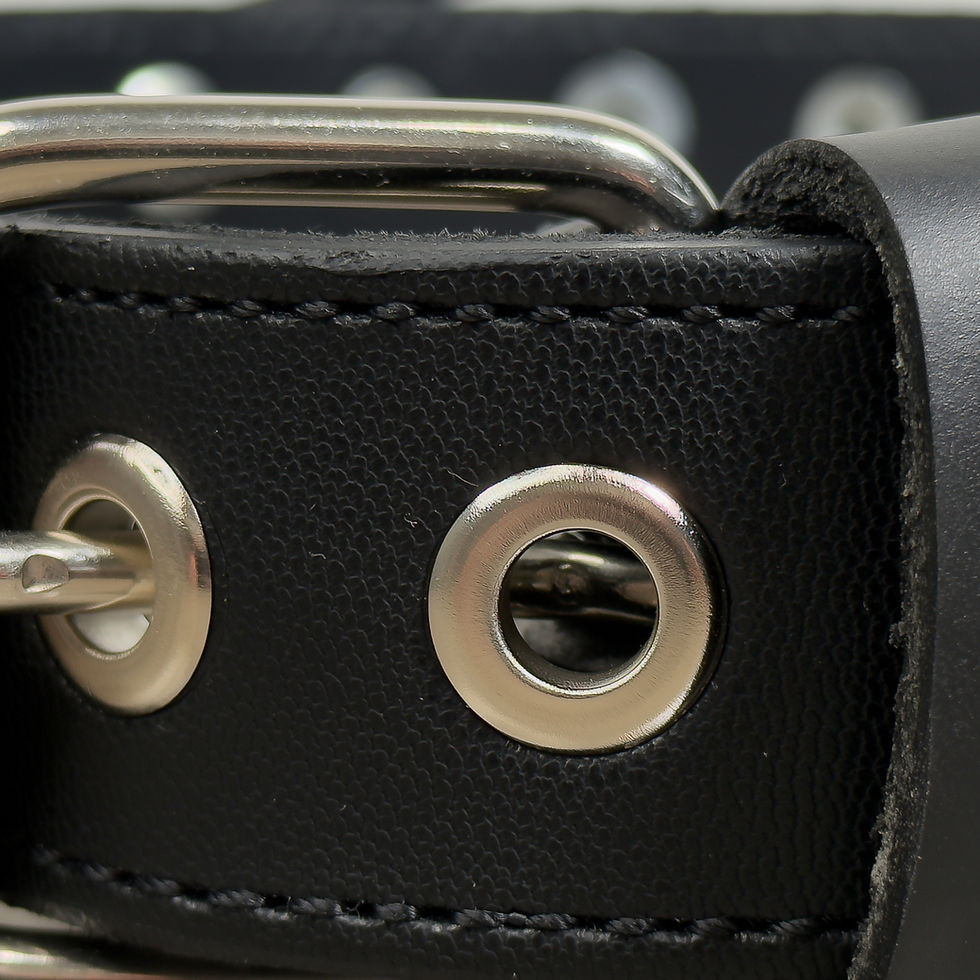 Thumbnail: The Canyon | Minimalist Studded Leather Dog Collar