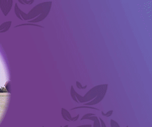 300x250px_Golf_Medterra_AdAnimated_AboutCBD.gif