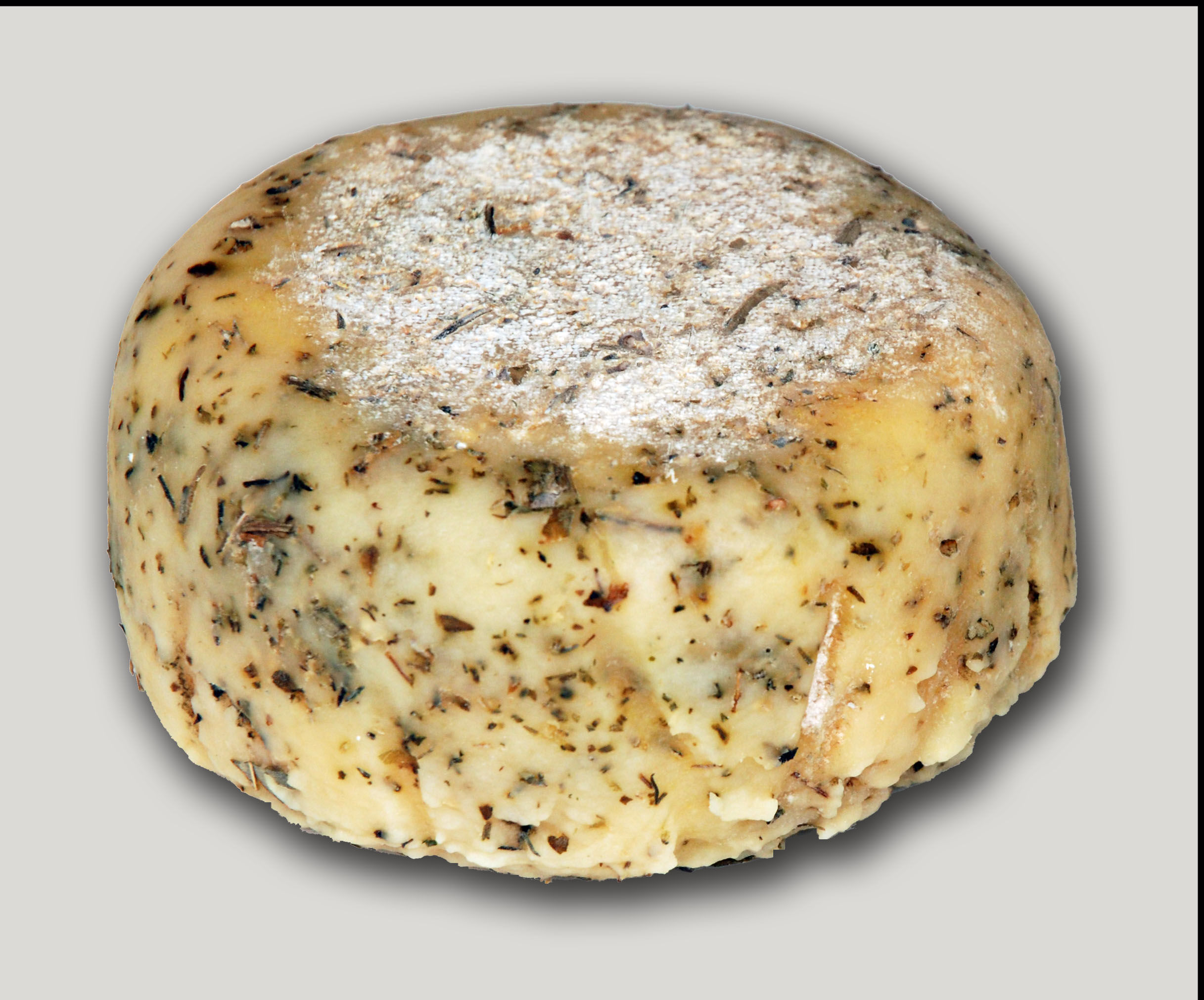 QUESO DE CABRA AL OREGANO