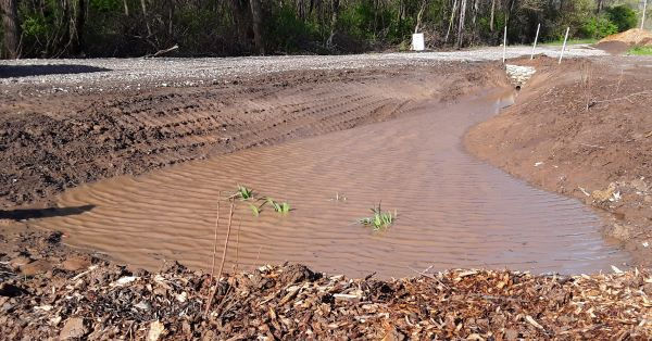 Rain garden driveway repair st louis confuence habitats.jpg