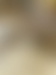 Running Letters: Why we love writing