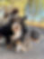 IMG_4225.jpeg