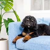 Screen Shot 2025-07-15 at 8.13.16 PM.png