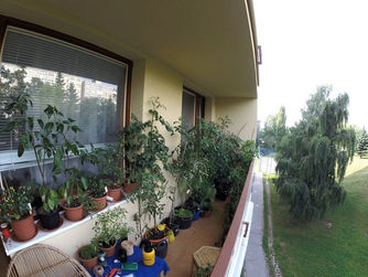 Projekt "Džungľa na balkóne"