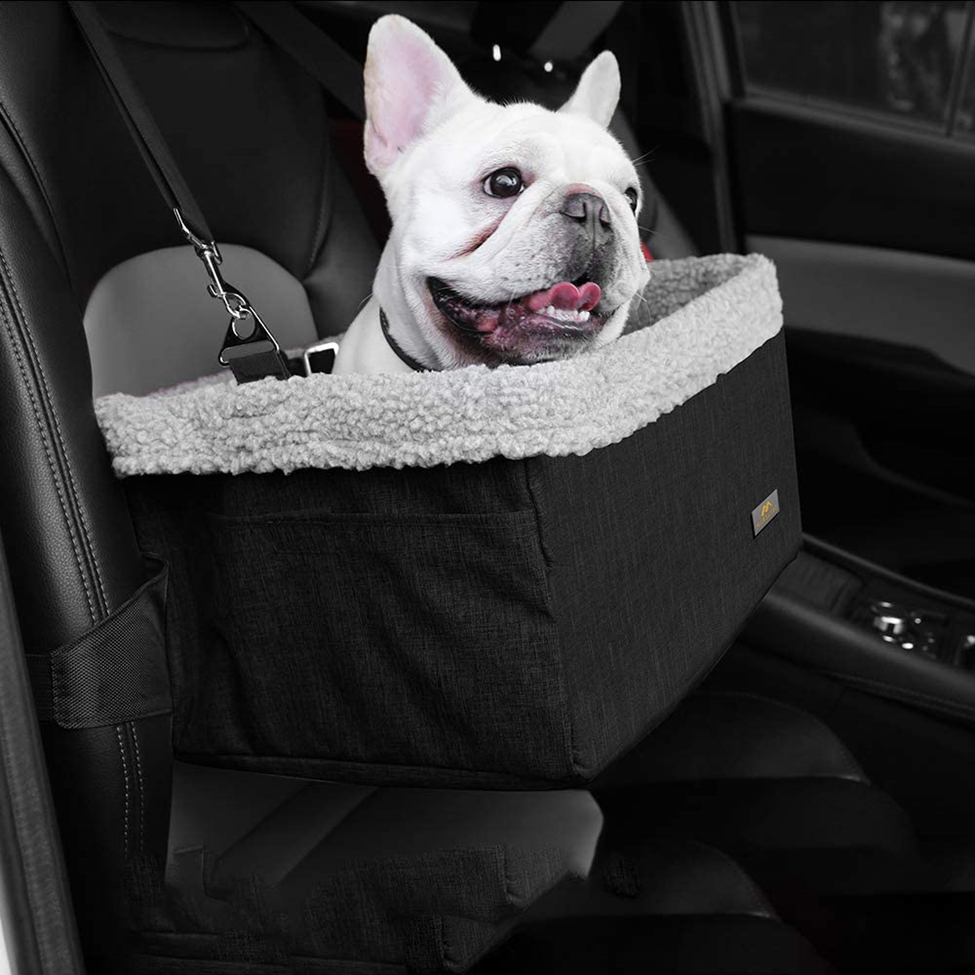 French Bulldog in dog booster seat for car