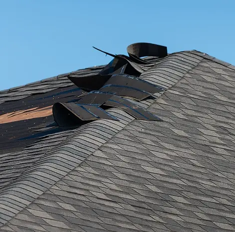 wind damage to shingles