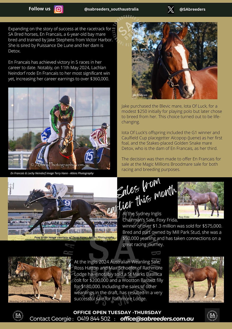 SA Breeders Newsletter SATB NEWS FEBRUARY 2024 page 2 PDF