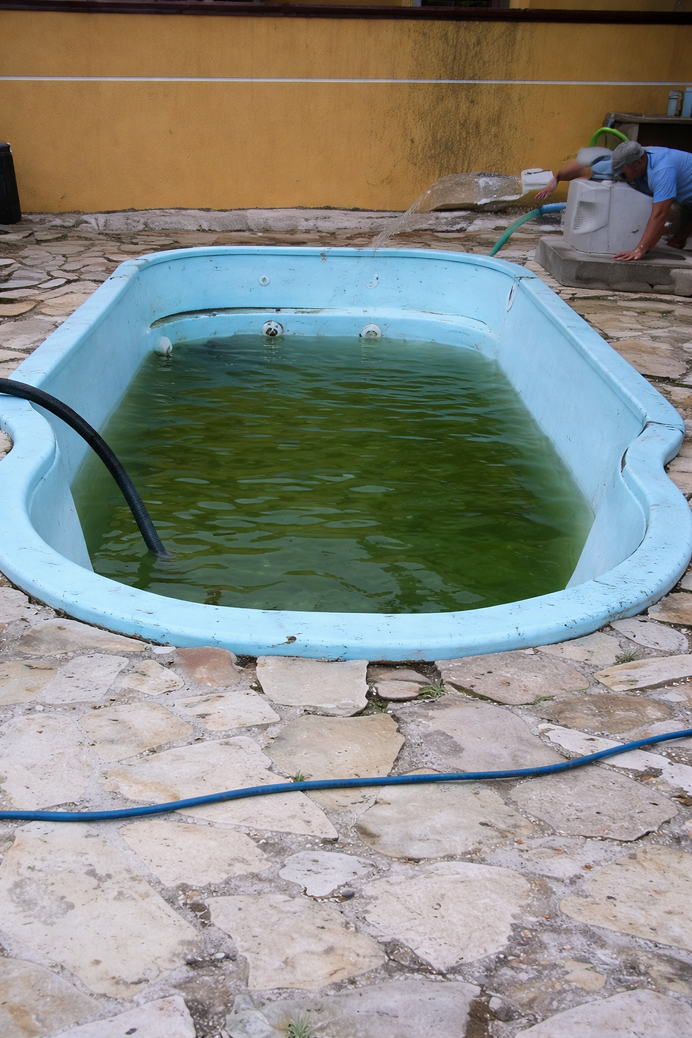 ChatGPT Image 12 de jan. de 2026, 20_00_38