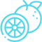 pansion.png