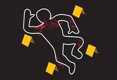 Negra y criminal 1.jpeg