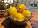 IMG_1218_edited.jpg
