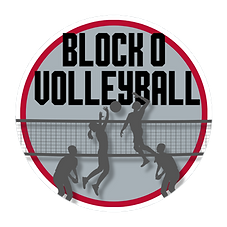 VOLLEYBALL.png