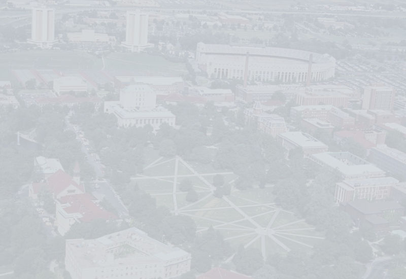Old Oval Birds Eye View_edited.jpg