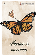 CARTA_MONARCA.png