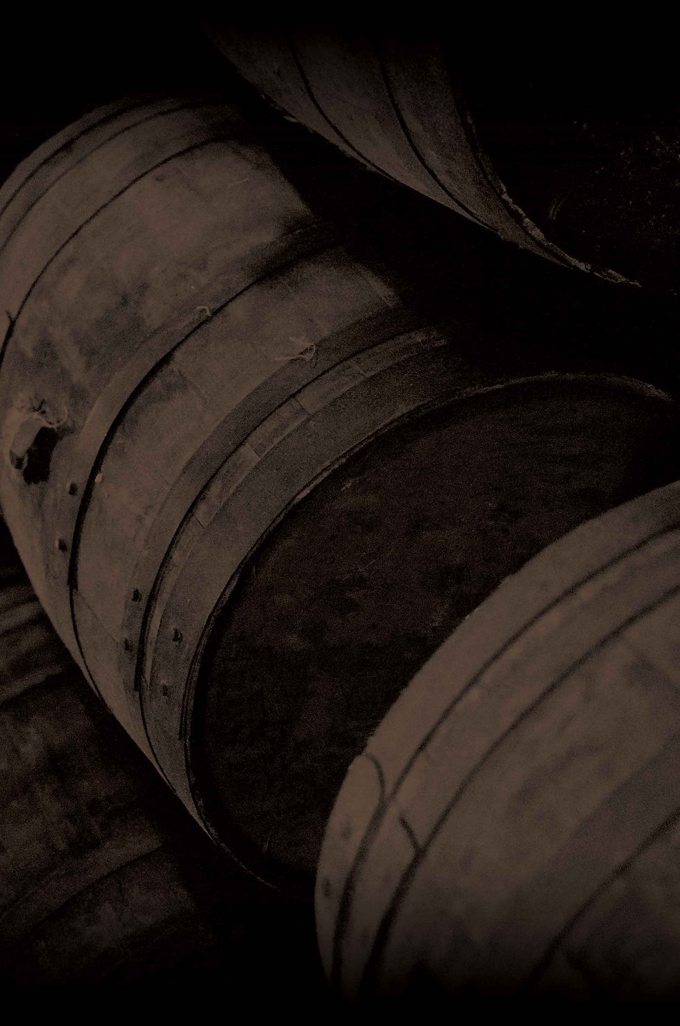Barrels2.jpg