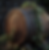 PNG image_edited.png