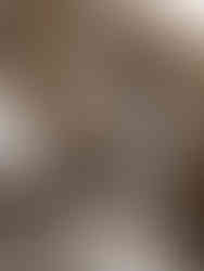 cedar driftwood used for essential oil in natural cleaning products