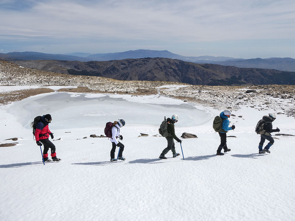Customer Service Automation for a Mountain Adventure Company in Spain