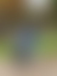 Cuando el tiempo deja de ser un concepto: duelo y reinvención