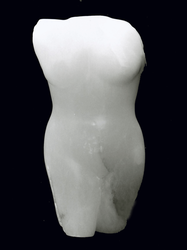 torso