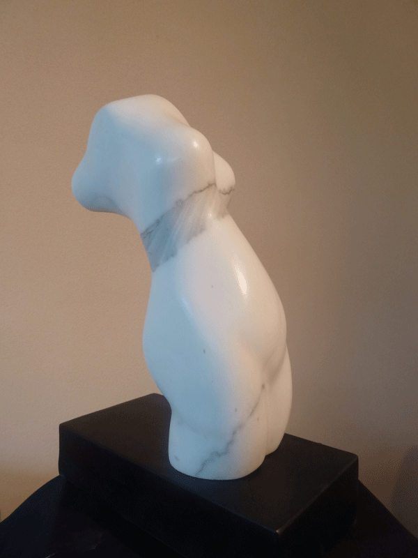 torso