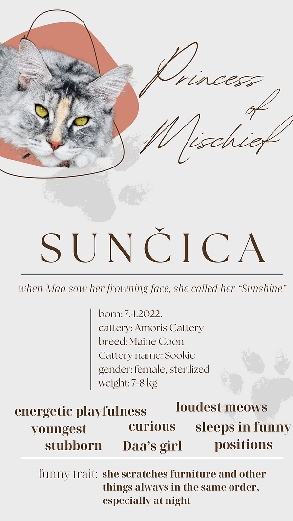 about suncica