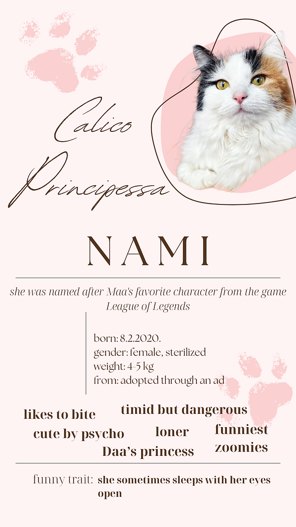 about nami