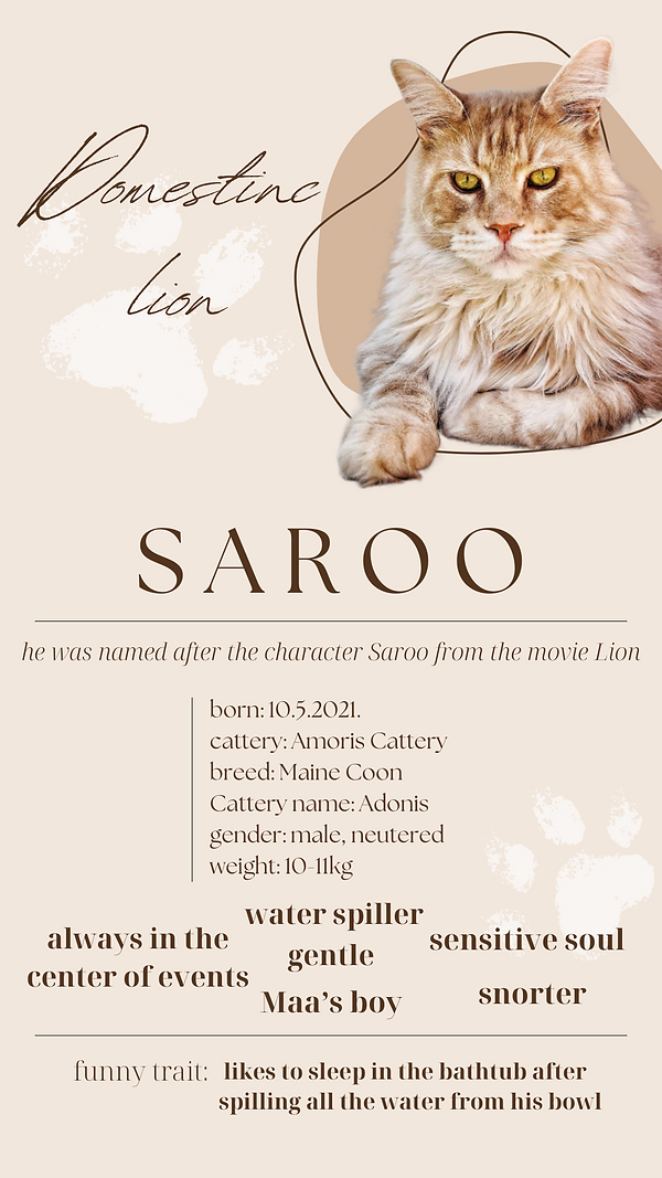 about saroo