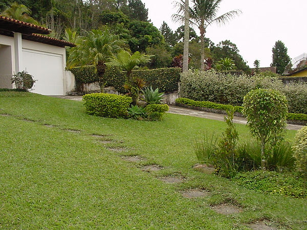 Jardim da propriedade com gramado, arbustos e caminho de pedras em direção à casa.