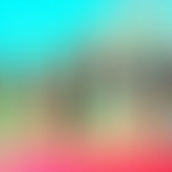 TATE NO YŪSHA SE PREPARA PARA SU PRIMER CONCIERTO EN VIVO