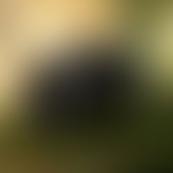 PUBG MOBILE ANUNCIA COLABORACIÓN CON ATTACK ON TITAN: CADETES PREPÁRENSE