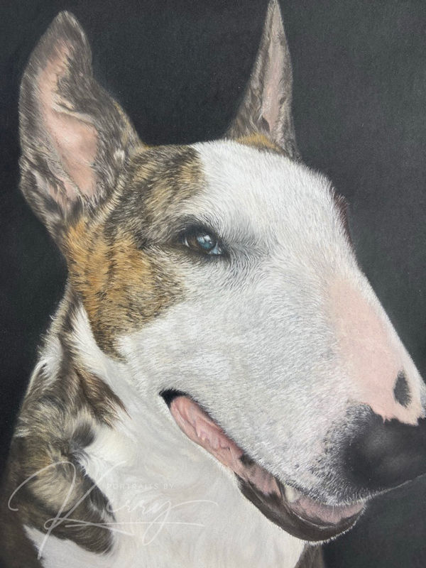 effie-portrait-a3-english-bull-terrior.jpg