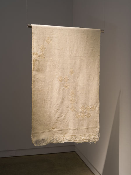 Sag_NoSurfaceIsNeutral-8570.jpg