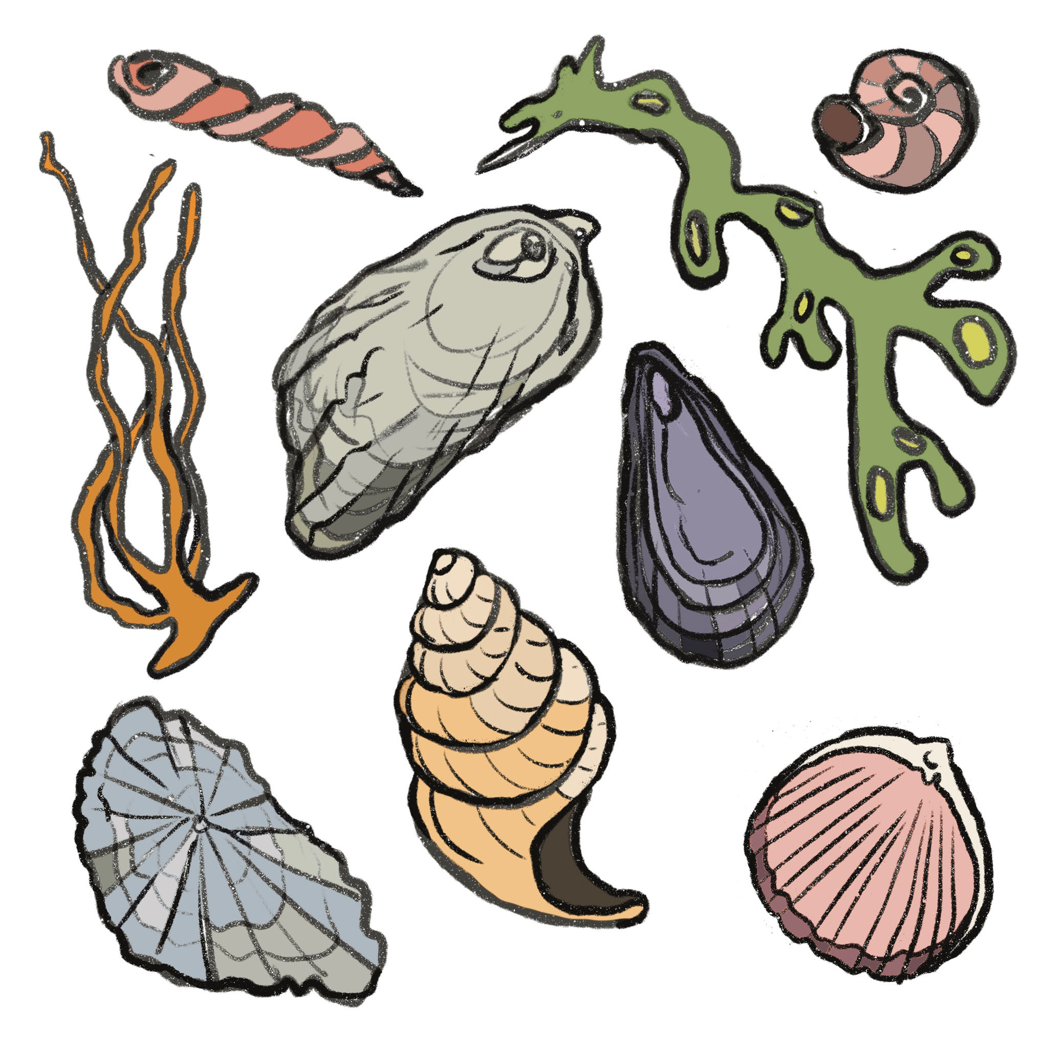 Seashore Delights Card