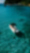 Self Drive Boat No Licence Paleokastritsa Corfu