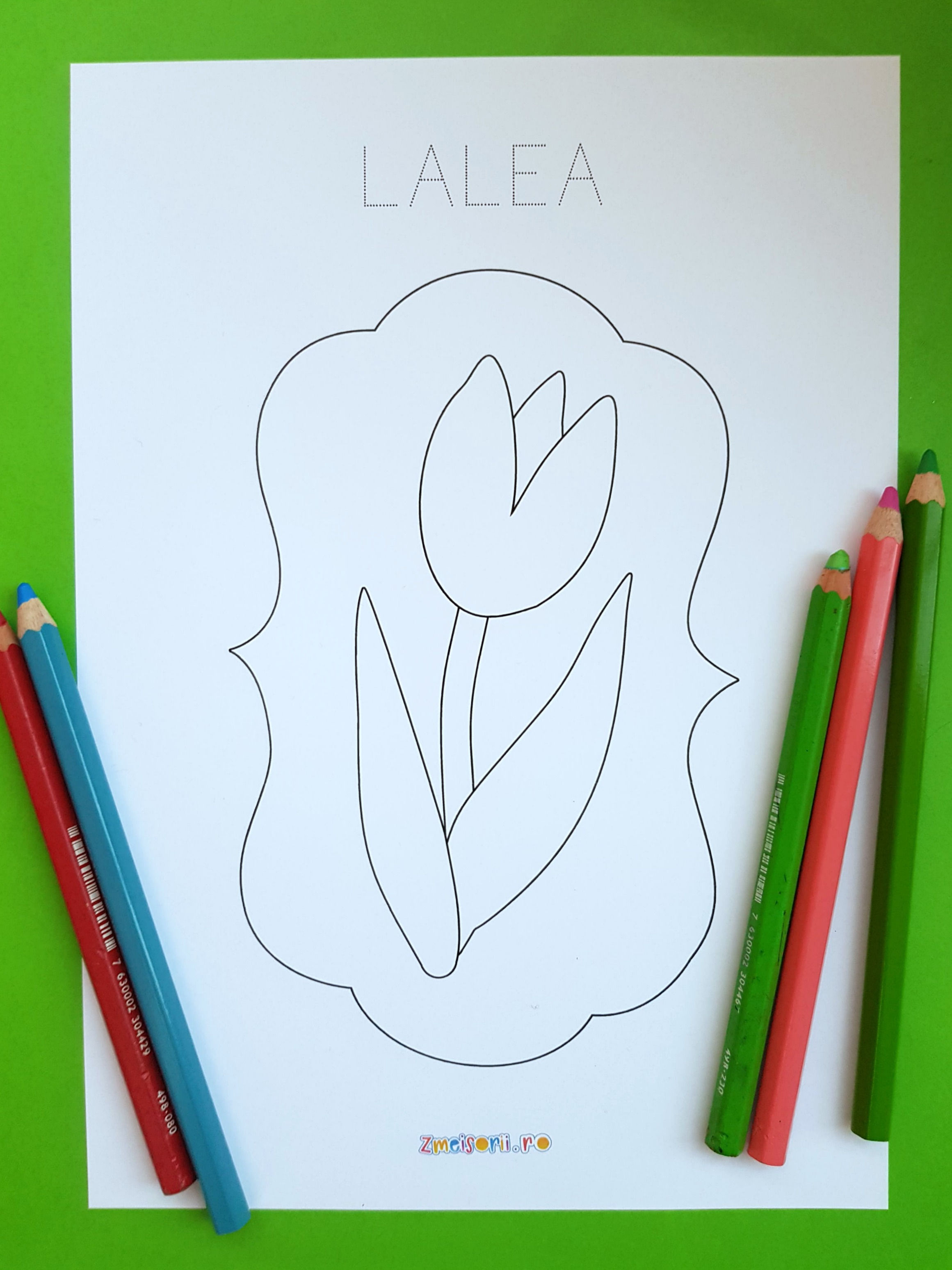 Flori de primăvară fișe de colorat