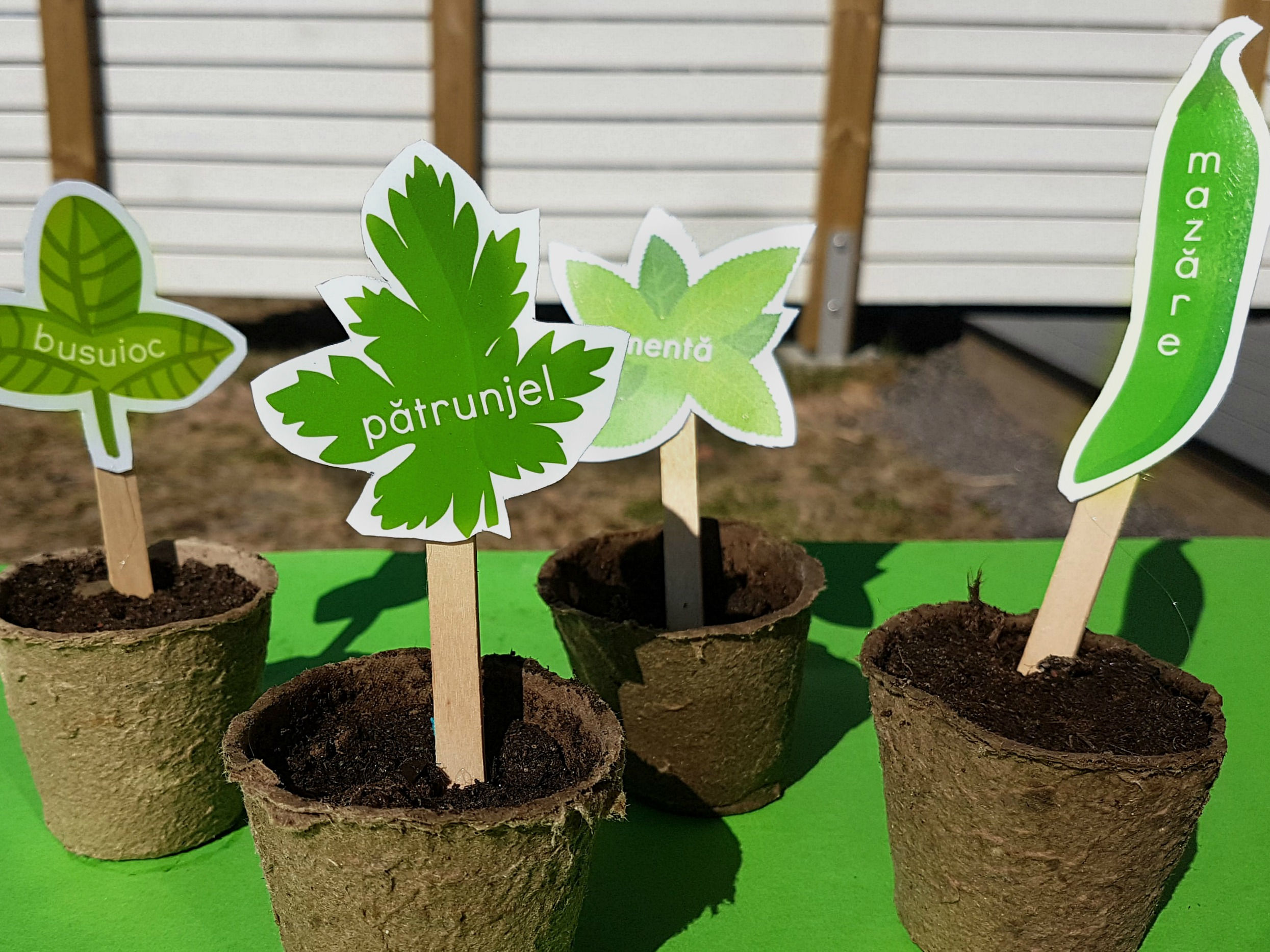 Etichete pentru grădină