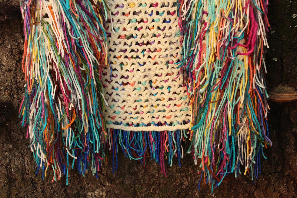 Thumbnail: Upcycled Crochet Rainbow Shag Vest