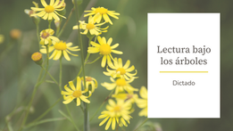 Dictado en español - Lectura bajo los árboles