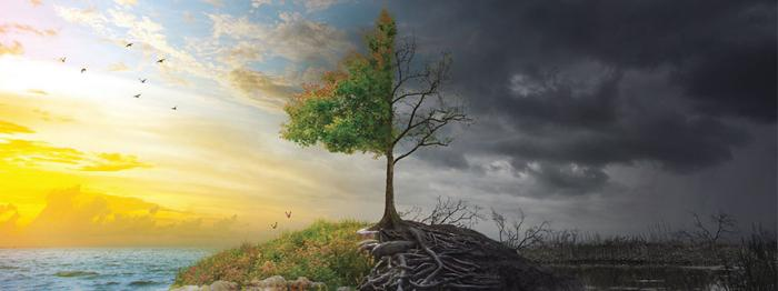 climate 2100