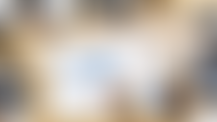 How Businesses Use Insights to Drive Smarter Decisions