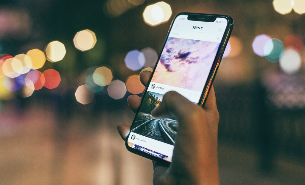 person holding a phone