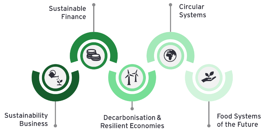 Sustainability in organizations