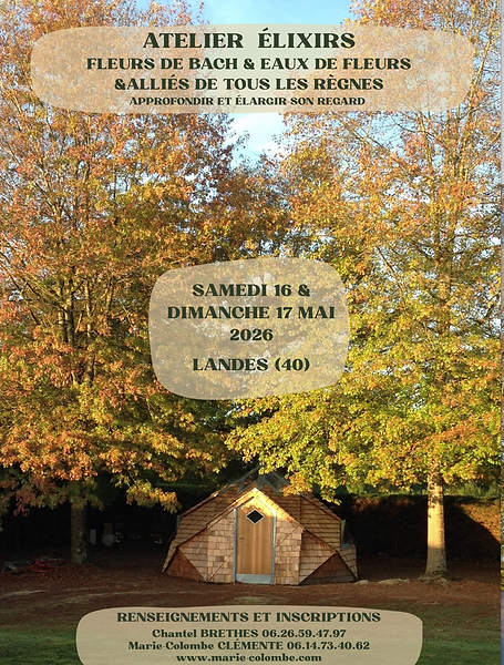 Capture d’écran 2026-02-04 à 15.00.47.png