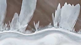 31°36'01.4"S 136°05'36.4"E