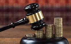 WhatsApp Image 2024-02-19 at 14.25.23 (1).jpeg