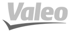 valeologo
