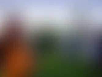 Minns du Slaget vid Vakadal?