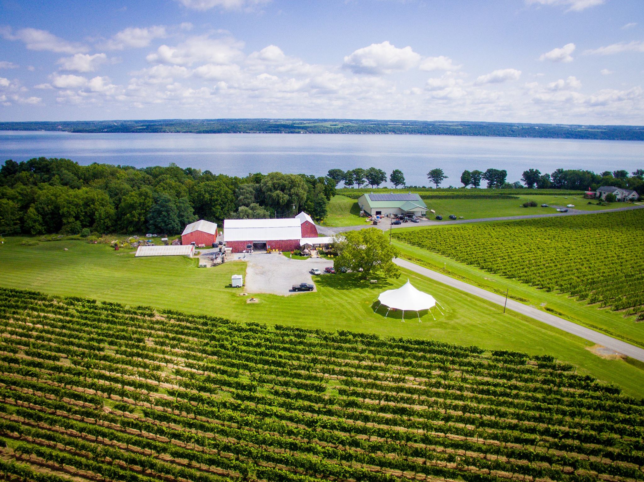 Cayuga Ridge Estate Winery